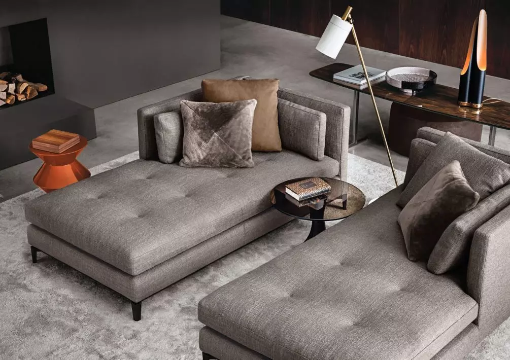 Sofa sofa (59 foto): lipatan dengan backrest dan kotak untuk linen, sofa tunggal kecil dan model lain 9145_10