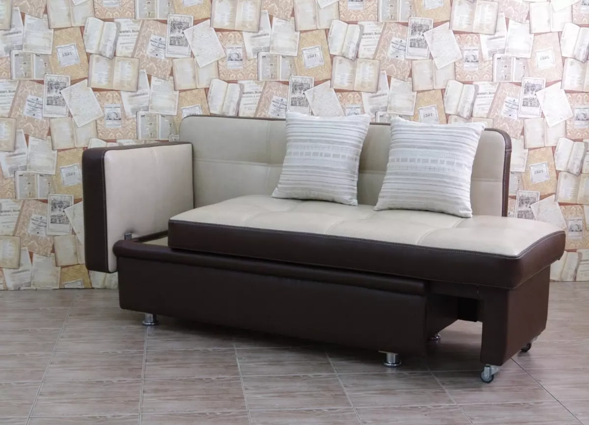 Sofa sofa (59 foto): lipatan dengan backrest dan kotak untuk linen, sofa tunggal kecil dan model lain 9145_18