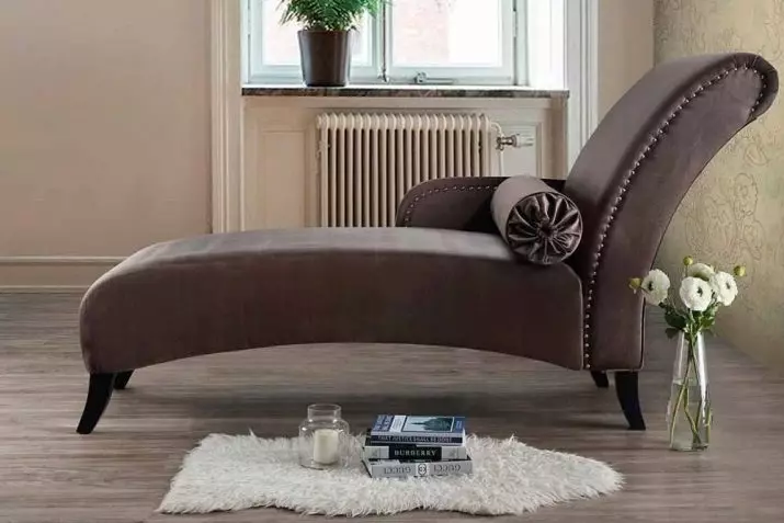 Sofa sofa (59 foto): lipatan dengan backrest dan kotak untuk linen, sofa tunggal kecil dan model lain 9145_20