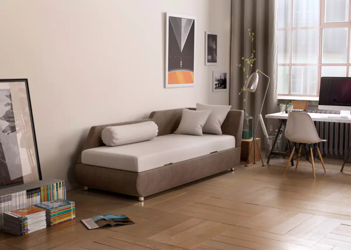 Sofa sofa (59 foto): lipatan dengan backrest dan kotak untuk linen, sofa tunggal kecil dan model lain 9145_36