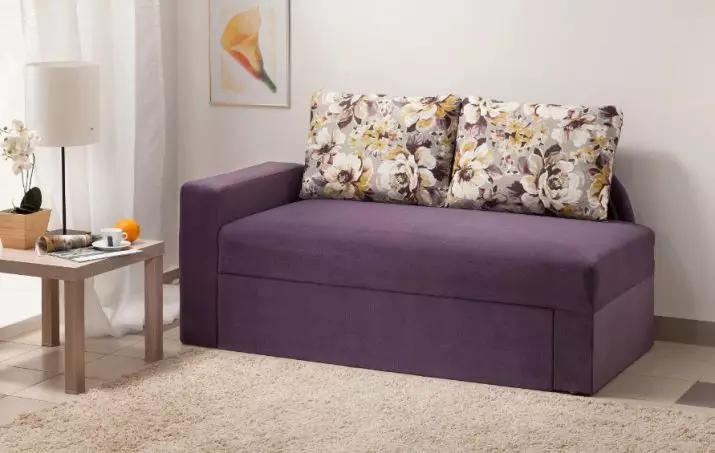 Sofa sofa (59 foto): lipatan dengan backrest dan kotak untuk linen, sofa tunggal kecil dan model lain 9145_58