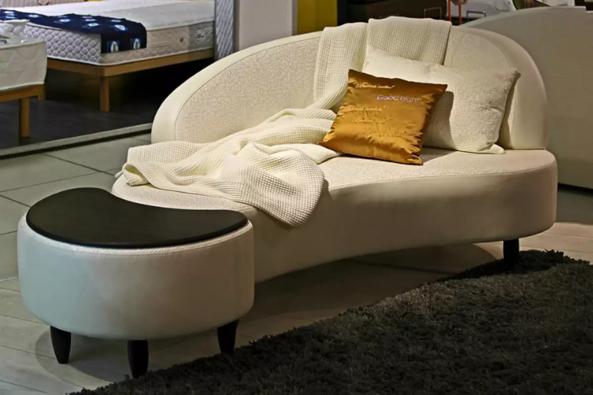 Sofa sofa (59 foto): lipatan dengan backrest dan kotak untuk linen, sofa tunggal kecil dan model lain 9145_8