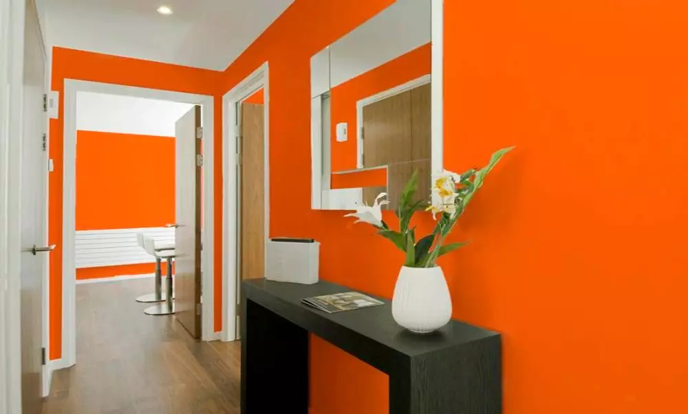 Malereiwände im Korridor (51 Fotos): Wie malen Sie die Wände auf dem Flur? Interior Design-Optionen in der Wohnung und im Haus 9152_24