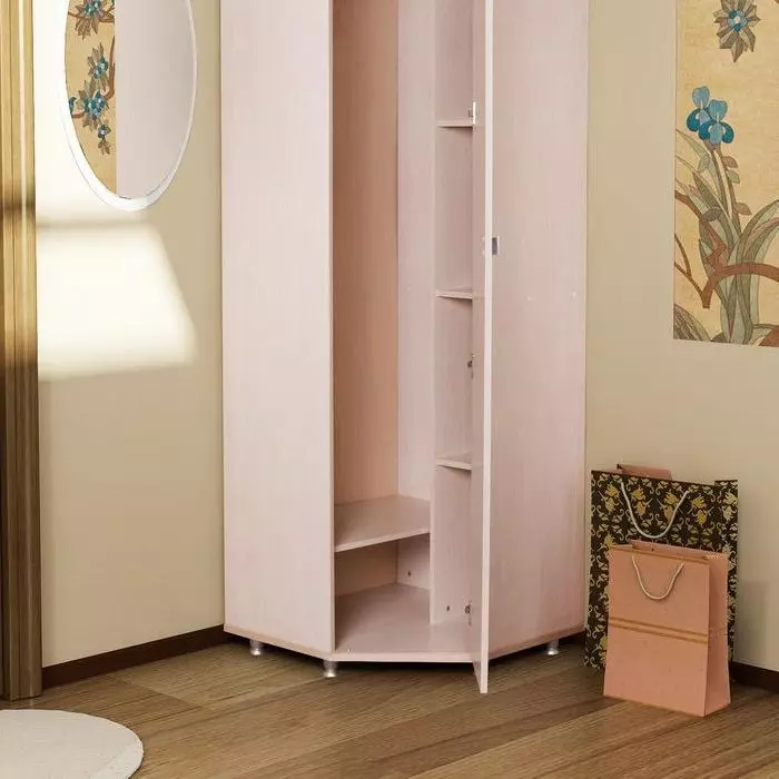 Swing Cabinets i korridoren (57 bilder): Granskning av skåp med svängdörrar och med mezzanin i korridoren, fasader design 9161_27