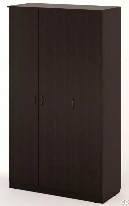 Swing Cabinets en la koridoro (57 fotoj): Revizio de kabinetoj kun svingaj pordoj kaj kun interetaĝo en la koridoro, fasadoj dezajno 9161_33