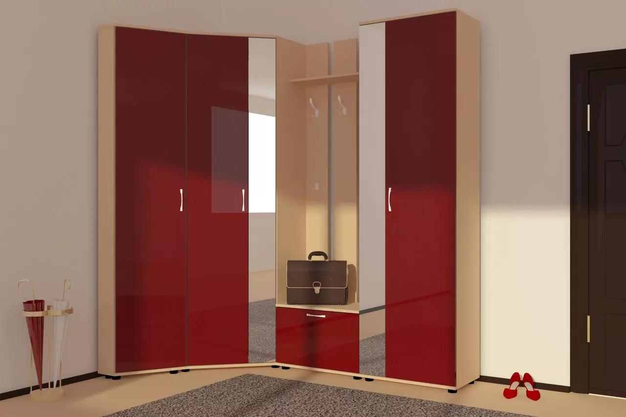 Swing szekrények a folyosón (57 fotók): A szekrények áttekintése swing ajtókkal és mezzaninnal a folyosón, homlokzatok tervezése 9161_35