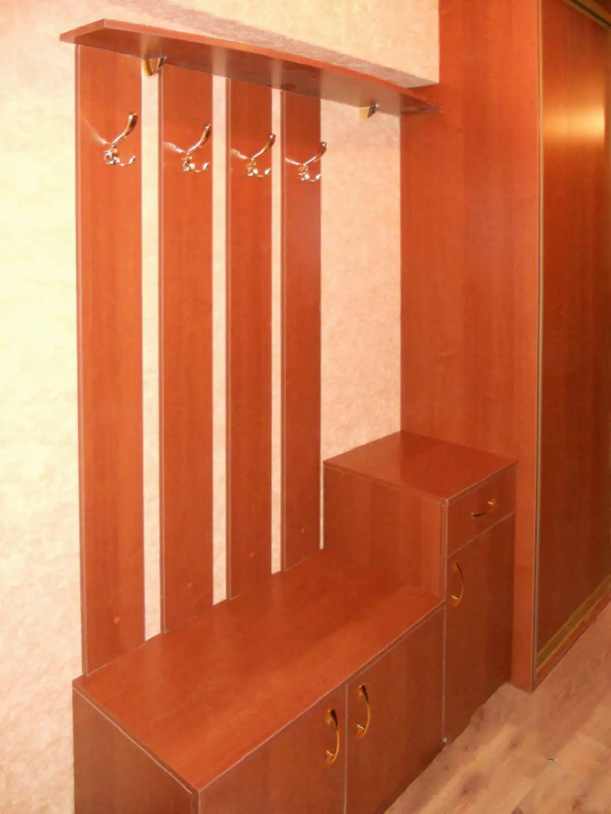 Swing Cabinets in die gang (57 foto's): Hersiening van kabinette met swaaideure en met mezzanine in die gang, fasades ontwerp 9161_37