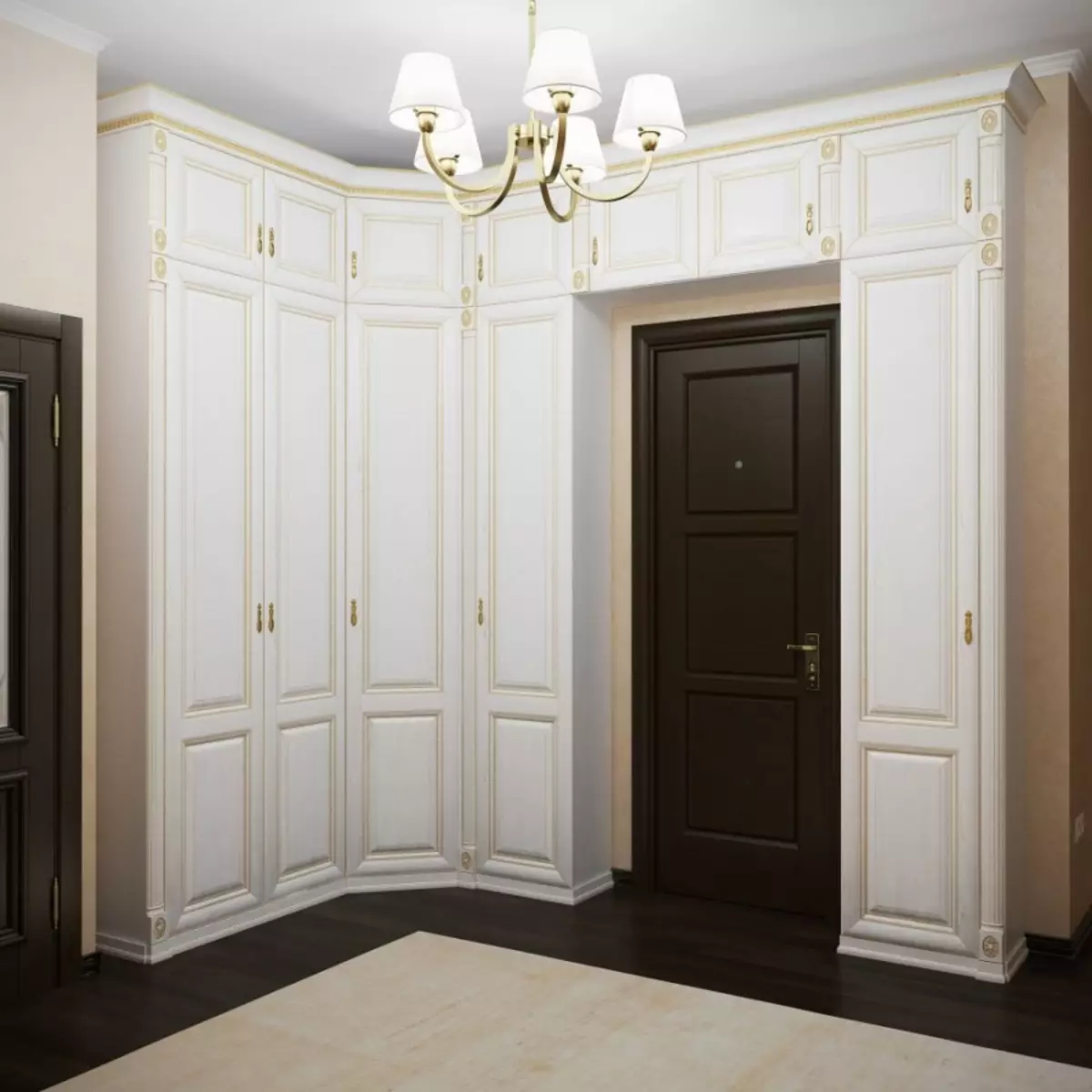 ตู้สวิงในห้องโถง (57 รูป): รีวิวตู้ที่มีประตูแกว่งและมีชั้นลอยอยู่ในทางเดินการออกแบบอาคาร 9161_41