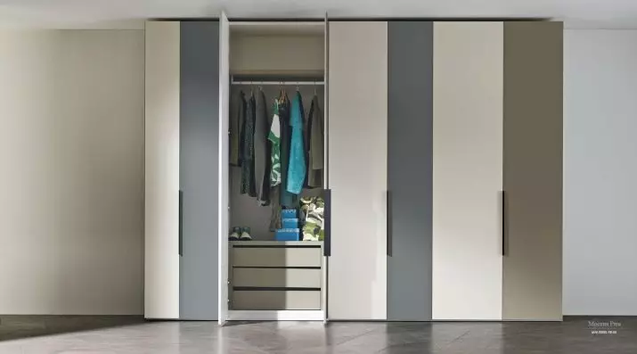 Tủ xoay trên hành lang (57 ảnh): Đánh giá các tủ với cửa xoay và với lửng trong hành lang, thiết kế mặt tiền 9161_9