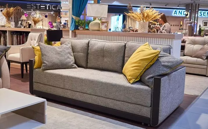 Sofa Styles (39 foto's): Retro en Amerikaansk, Italiaansk en Sineesk, neoklassyk, ampir en klassiker 9170_36