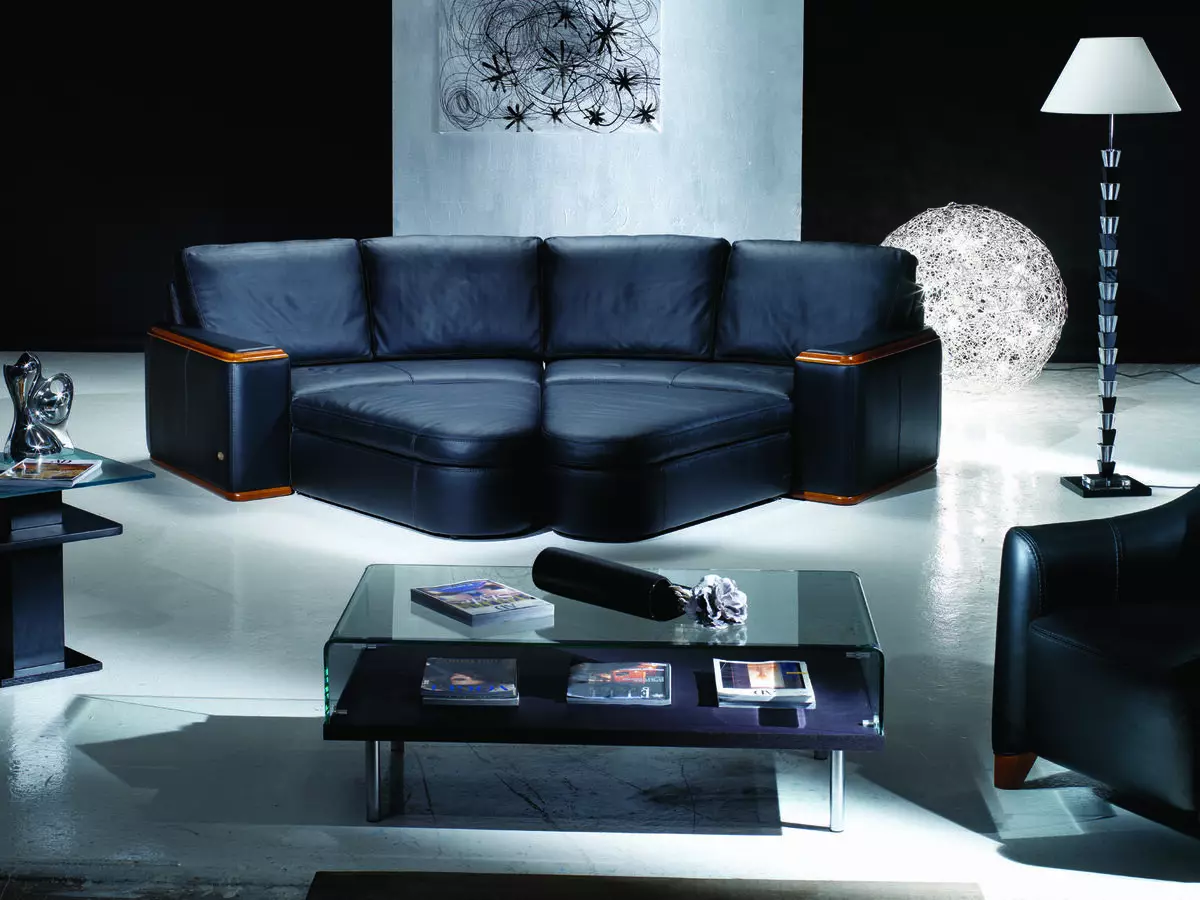 Сини мека мебел (73 снимки): ъглови и права. Тъмно сини дивани в сив интериор и други опции за дизайн на помещенията. Избор на възглавници, завеси и тапети 9172_39