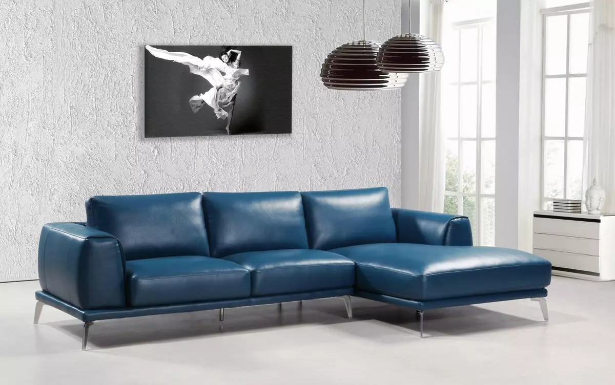 Bluaj sofoj (73 fotoj): Angula kaj rekta. Dark Blue Sofas en griza interno kaj aliaj ĉambroj dezajno opcioj. Selektado de kusenoj, kurtenoj kaj tapetoj 9172_41