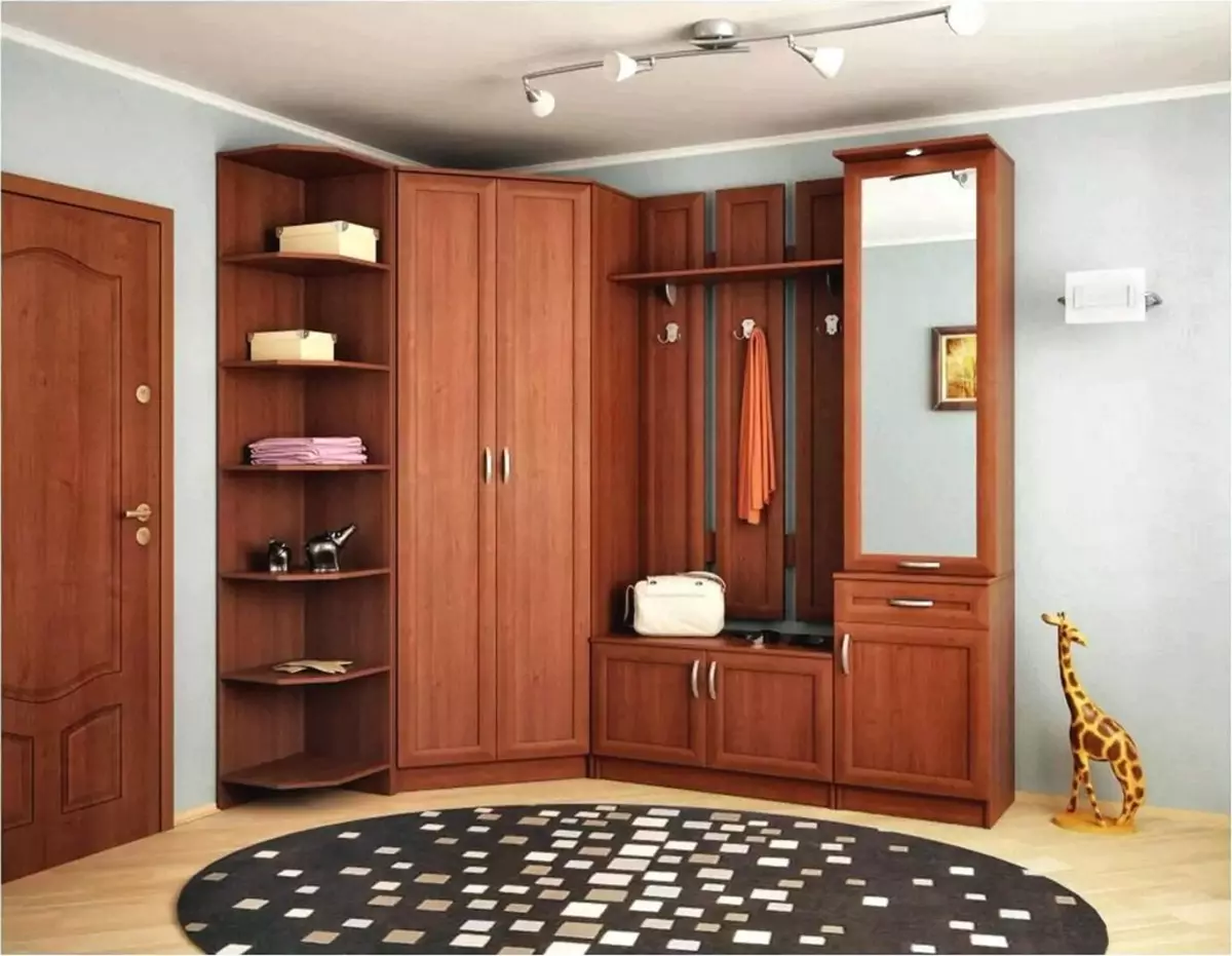 Modulare Möbel für eine Eingangshalle (65 Fotos): Eckmodul im Korridor, kleine Systemtiefe bis 40 cm, weiße Wände, Wenge-Farbmöbel und andere Optionen 9177_27