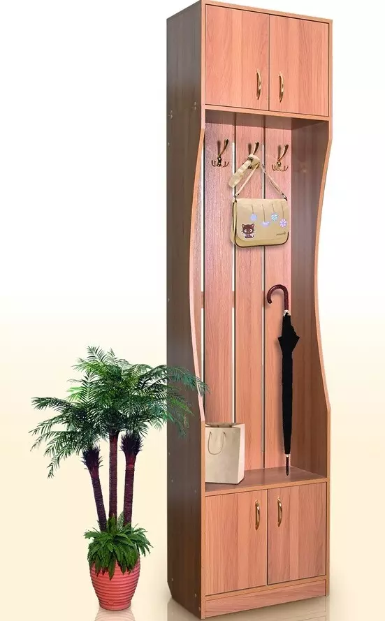 Modulare Möbel für eine Eingangshalle (65 Fotos): Eckmodul im Korridor, kleine Systemtiefe bis 40 cm, weiße Wände, Wenge-Farbmöbel und andere Optionen 9177_45