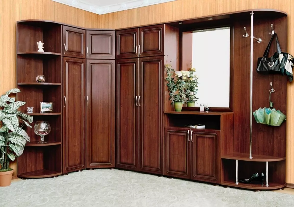 Modulare Möbel für eine Eingangshalle (65 Fotos): Eckmodul im Korridor, kleine Systemtiefe bis 40 cm, weiße Wände, Wenge-Farbmöbel und andere Optionen 9177_53