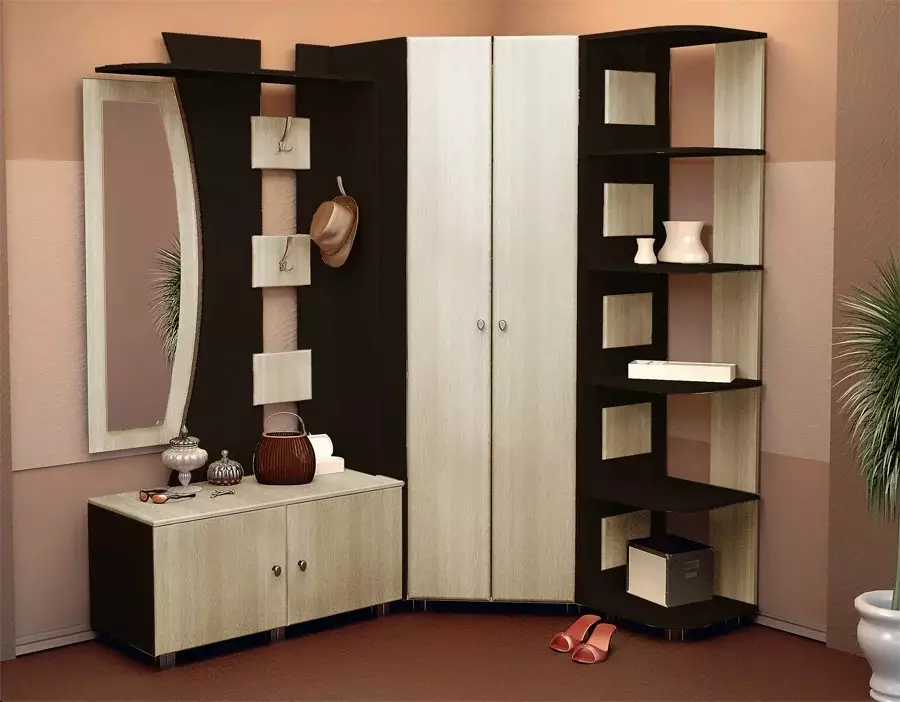Modulare Möbel für eine Eingangshalle (65 Fotos): Eckmodul im Korridor, kleine Systemtiefe bis 40 cm, weiße Wände, Wenge-Farbmöbel und andere Optionen 9177_59