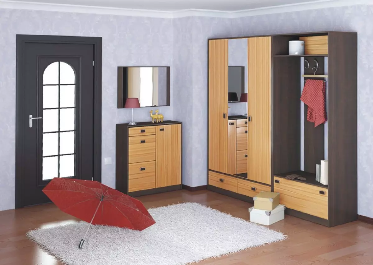 Modulare Möbel für eine Eingangshalle (65 Fotos): Eckmodul im Korridor, kleine Systemtiefe bis 40 cm, weiße Wände, Wenge-Farbmöbel und andere Optionen 9177_61