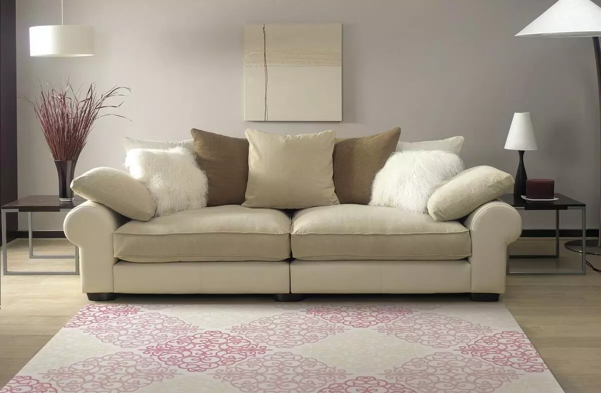 Fissure Sofas: hoeke en rjochte folding en oare modellen fan goede kwaliteit. Modieuze wite en oare sofa's 9180_2