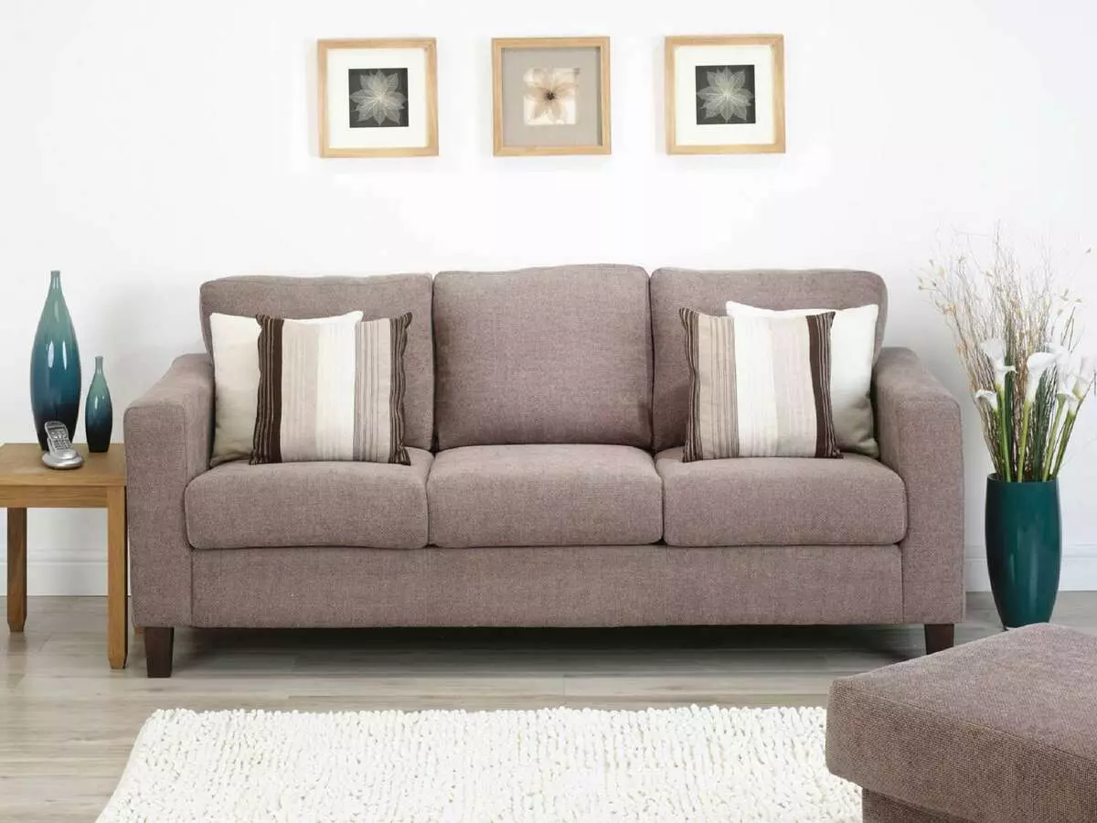 Fissure-sofa's: hoek en rechte vouwen en andere modellen van goede kwaliteit. Modieuze witte en andere banken 9180_5