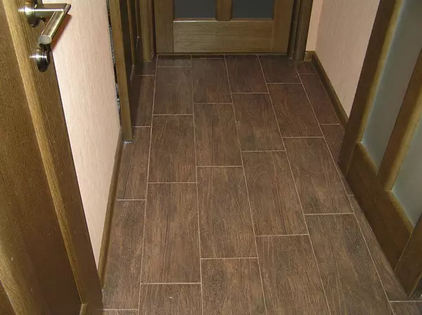 Плочка на подот во коридорот (99 фотографии): Опции за дизајн на подни плочки во ходникот. Шаблони направени од порцелан камен, плочки клетки и други убави опции 9181_63