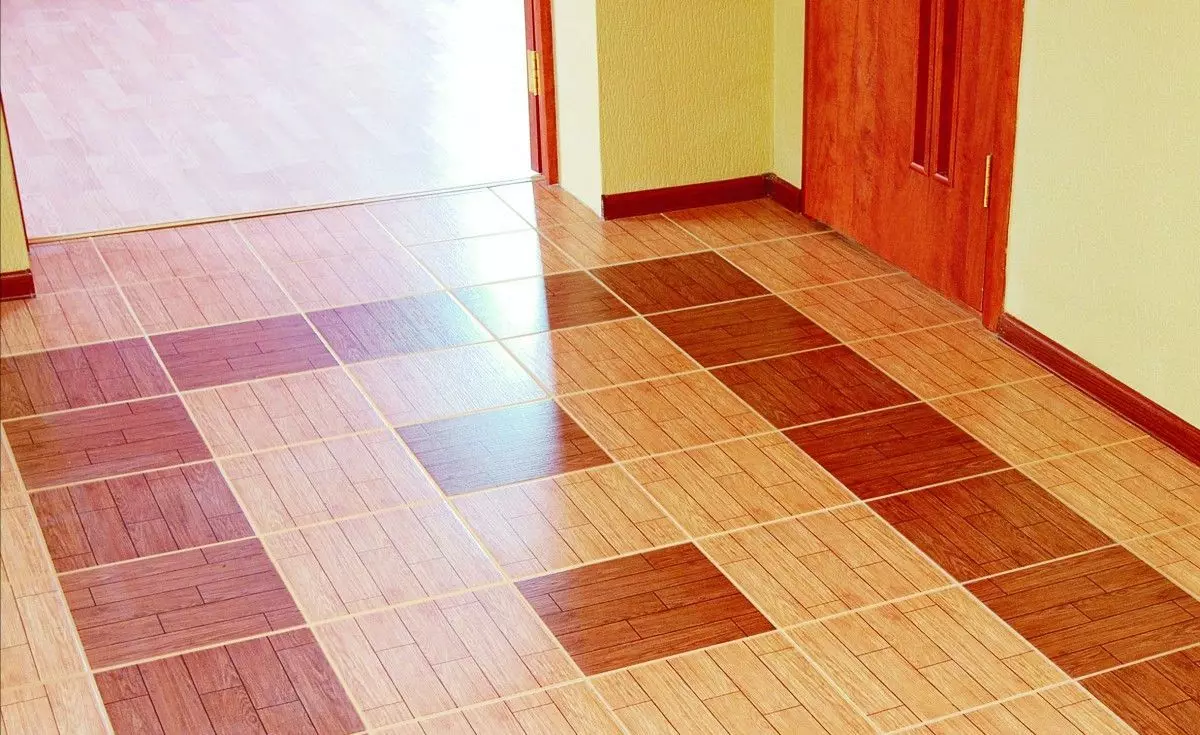 Ngói trên sàn trong hành lang (99 ảnh): Tùy chọn cho thiết kế gạch lát sàn ở hành lang. Các mẫu làm bằng đồ sứ bằng đá, tế bào ngói và các tùy chọn đẹp khác 9181_87