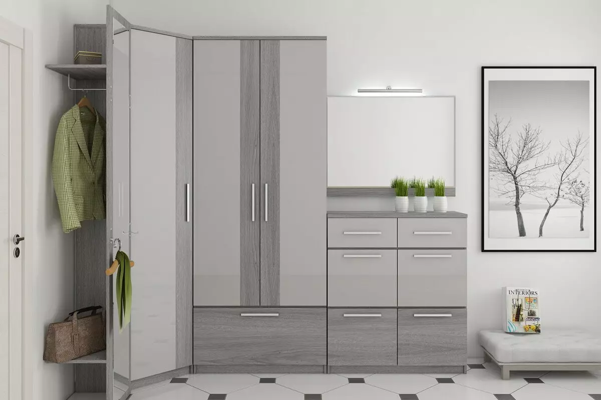 灰色のエントランスホール（65枚の写真）：灰色の白と他の色の廊下のデザインのアイデア。壁やドア、男女、男女と家具のインテリア 9187_28