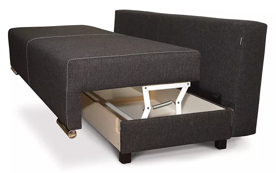 Sofa yang dihitung (87 Foto): Model langsung waktu tinggi 140 cm lebar, 120 cm dan 160 cm, buku dan mekanisme transformasi lainnya 9194_11