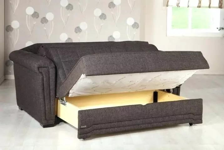 Beregnet sofa (87 billeder): High-time direkte modeller 140 cm bred, 120 cm og 160 cm, bog og andre transformationsmekanismer 9194_4