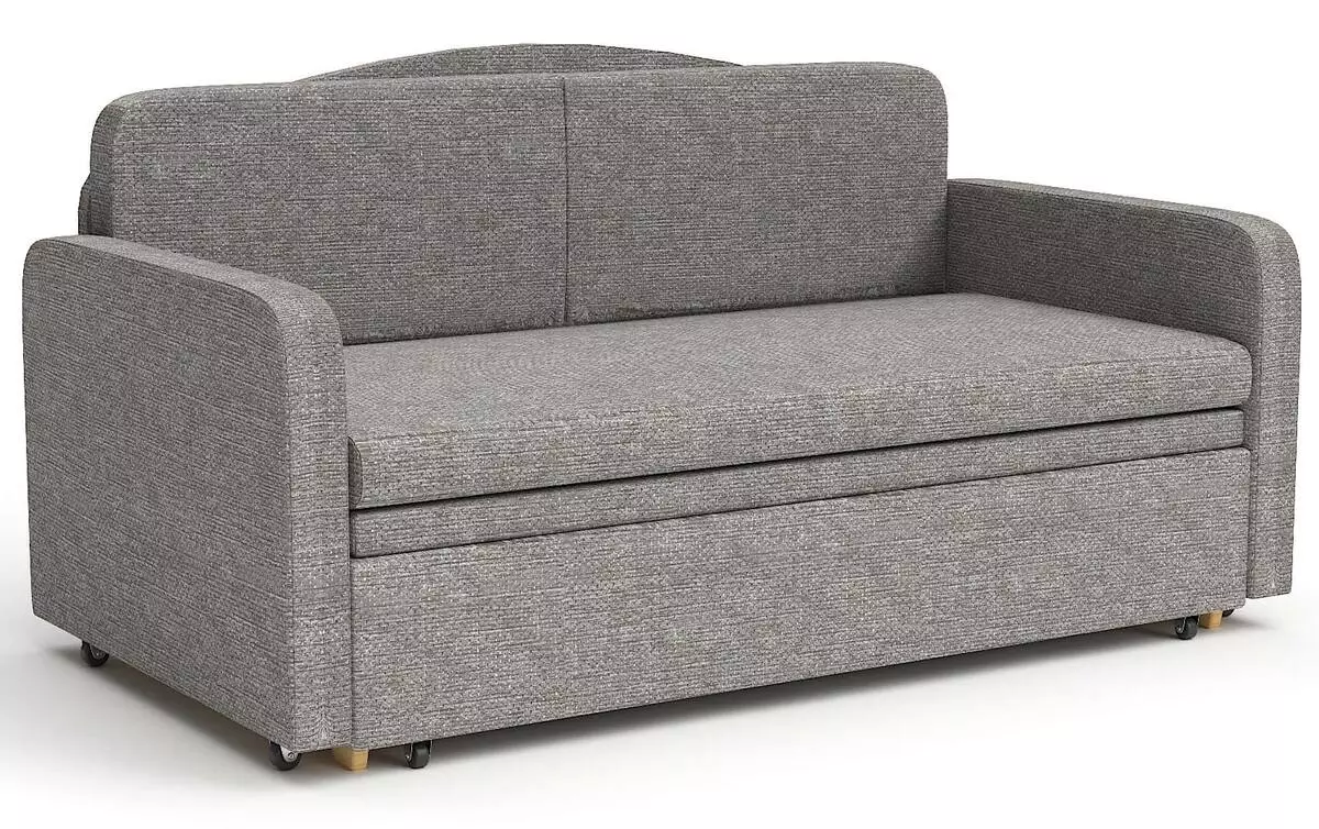 Sofa yang dihitung (87 Foto): Model langsung waktu tinggi 140 cm lebar, 120 cm dan 160 cm, buku dan mekanisme transformasi lainnya 9194_66