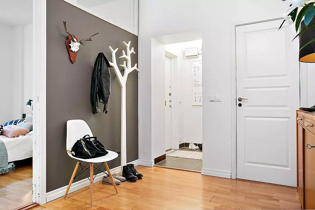 走廊設計（163張照片）：公寓內有趣的室內設計理念，創建美麗設計的項目 9207_56