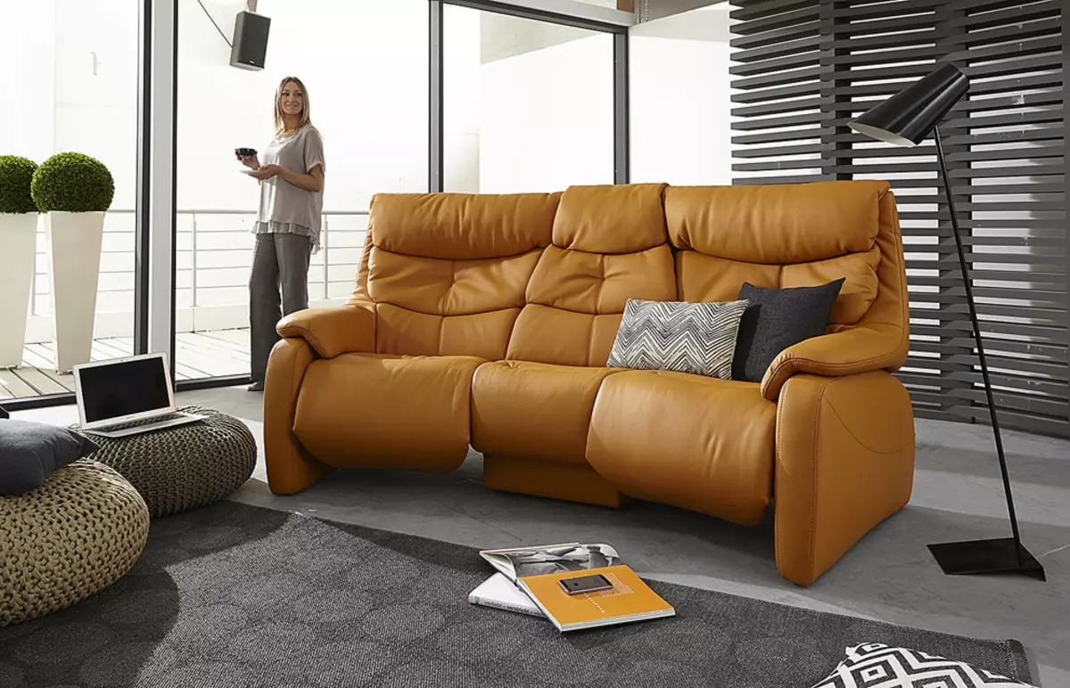 בחר ספה עבור קולנוע ביתי: ספות זוויתיות נוחות לצפות בטלוויזיה. עיצוב חדר עם ספה ספה 9208_5