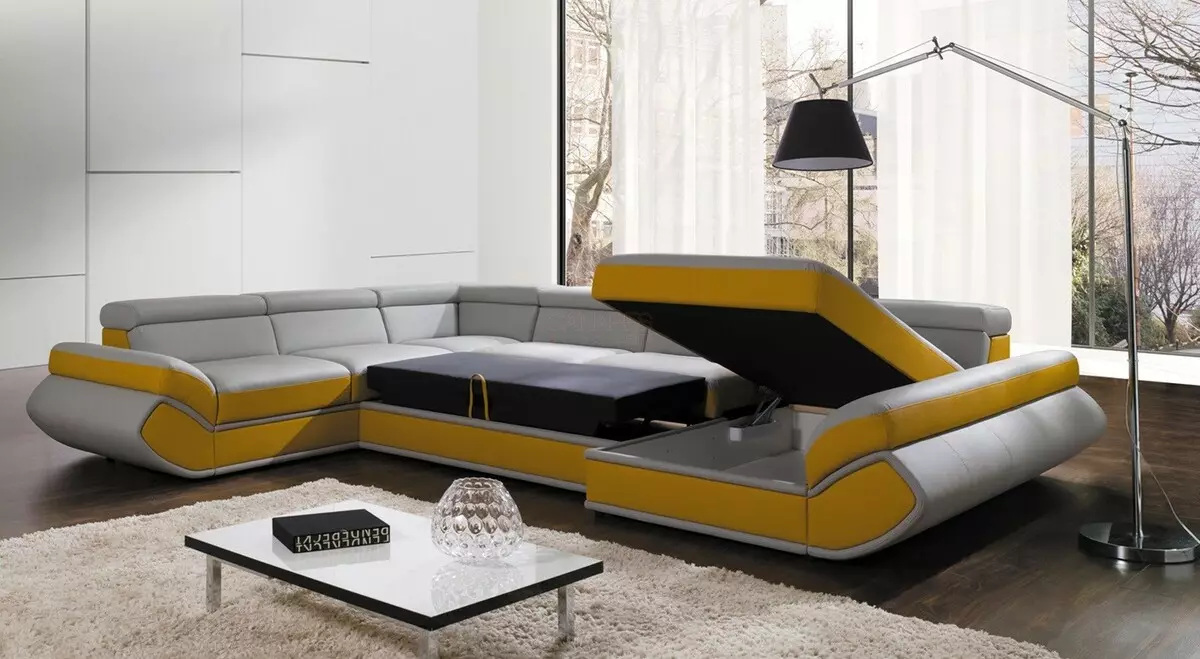 Επιλέξτε έναν καναπέ για το Home Theater: Άνετοι γωνιακοί καναπέδες για να παρακολουθήσετε τηλεόραση. Σχεδιασμός δωματίου με καναπέ καναπέ 9208_6
