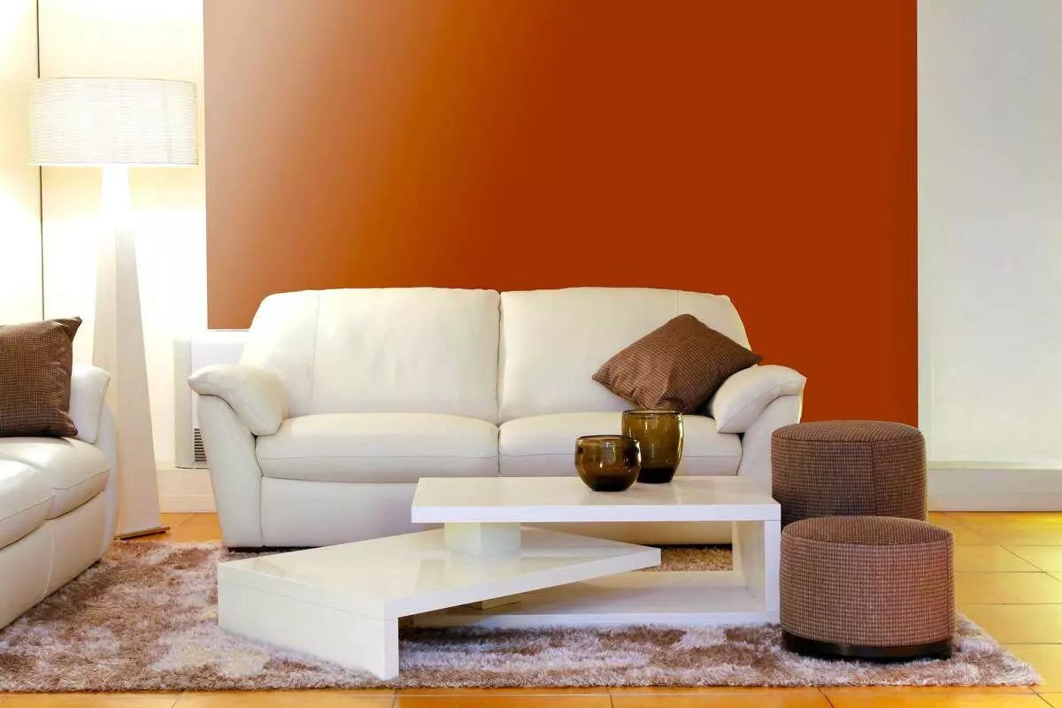 Fehér kanapék a belső térben (52 fotók): szögletes és egyenes, válasszon egy nagyot a vendégek számára, és kétágyas, klasszikus és egyéb modellek 9214_31