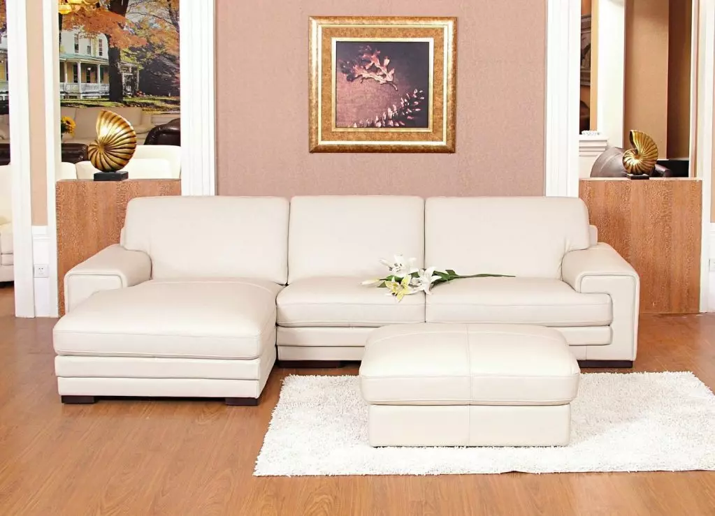 內飾的白色沙發（52張照片）：角度和直線，為客人提供大型，雙人，經典等型號 9214_6