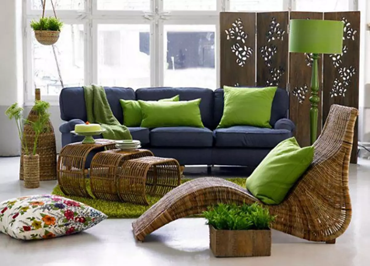 Sofa dotoreak (76 argazki): modako koloreak. Zer material daude orain modan? Beste joera batzuk, adibideak barrualdean 9215_24