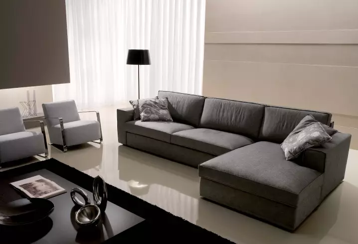 Sofa bergaya (76 foto): Warna modis. Bahan apa yang sedang mode sekarang? Tren lain, contoh dalam interior 9215_44