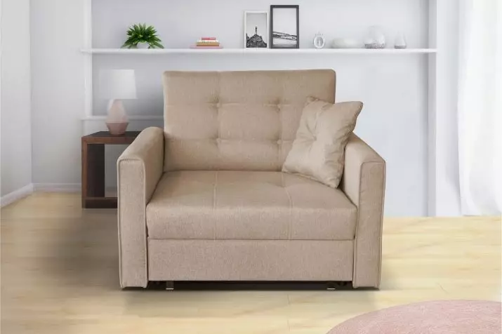 Enkelt sofaer: Vælg foldesofaer (clamshells) og andre modeller 9220_22