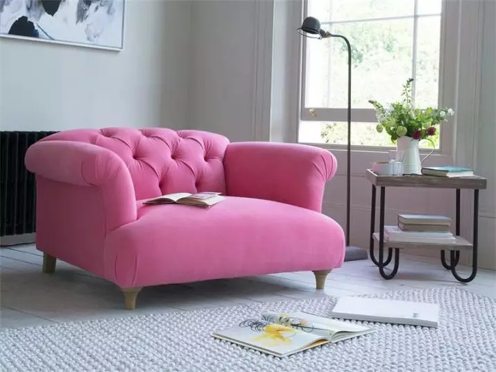 Single Sofa: Pumili ng mga natitiklop na sofa (Clamshells) at iba pang mga modelo 9220_4