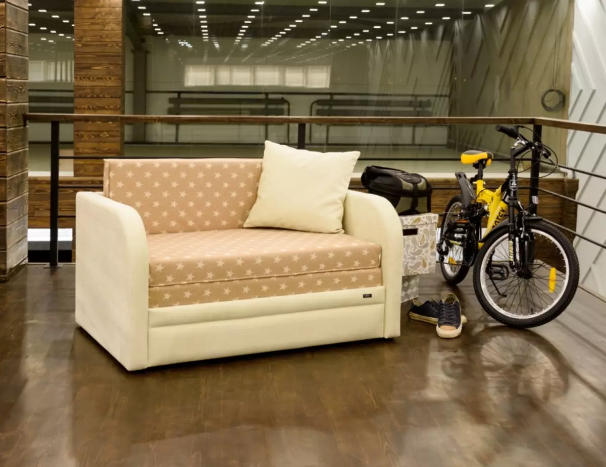 Single Dīvāni: izvēlieties izvelkamo dīvānu (Clamshells) un citus modeļus 9220_6