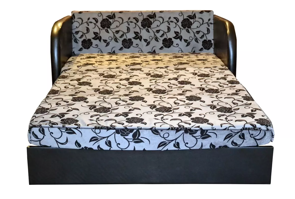 Zlobni kafesni ležišči: zložljivi modeli s posteljninami in brez njih, zofe z nemotenim spanjem, mehanizmi 9221_23