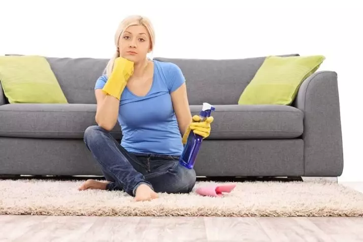 Que limpar o sofá de terra sen divorcio na casa? Como eliminar manchas en diferentes feridas? Como lavar a sosa? 9233_26