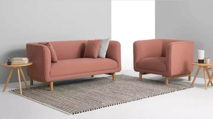 Dobbelt sofaer (54 billeder): Standardstandarder for 2-personers bløde sofaer, kompakte modeller til rekreationsbredde 140 cm og meget mere 9235_25