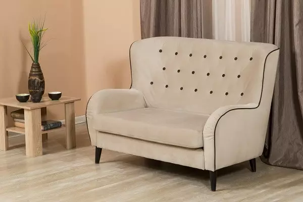 Dobbelt sofaer (54 billeder): Standardstandarder for 2-personers bløde sofaer, kompakte modeller til rekreationsbredde 140 cm og meget mere 9235_28