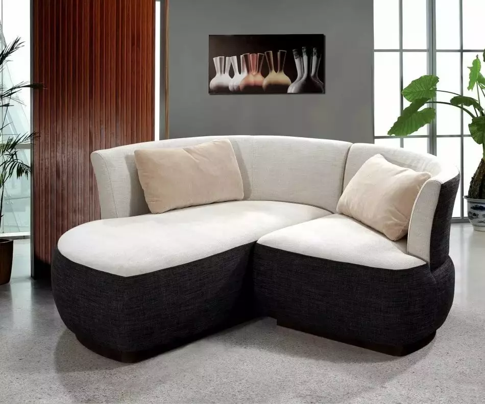 Dobbelt sofaer (54 billeder): Standardstandarder for 2-personers bløde sofaer, kompakte modeller til rekreationsbredde 140 cm og meget mere 9235_8