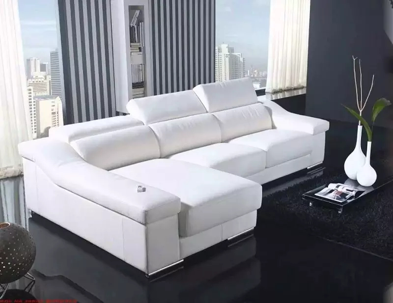 Sofaer fra Kina: Hvad er kinesiske produktionssofaer, fordele og ulemper, valg 9237_7