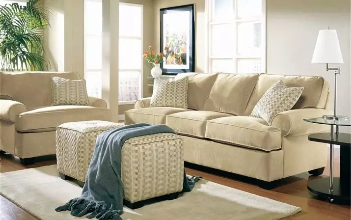 Beige-sohvat sisätiloissa (57 kuvaa): kulma ja suora, tyynyjä ja ilman, yhdistelmä harmaa verhot, kirja, rahti ja muut mallit 9242_49
