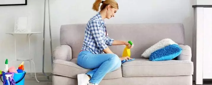 Cum să curățați canapeaua de la miros acasă? Cum să spălați canapeaua din țesătură? Cum să scapi de mirosul unei noi canapele? 9243_11