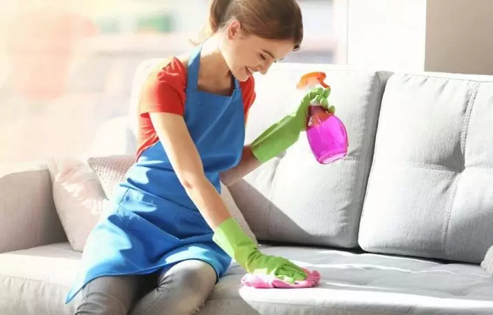 Cum să curățați canapeaua de la miros acasă? Cum să spălați canapeaua din țesătură? Cum să scapi de mirosul unei noi canapele? 9243_28