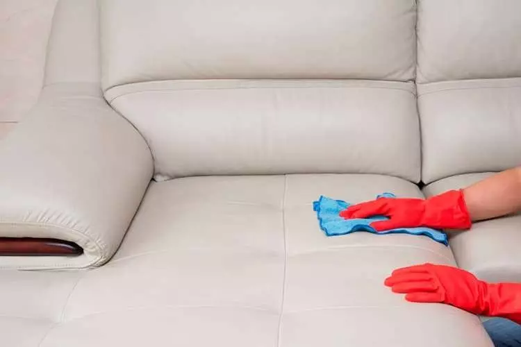Sofa e pastrimit të thatë: Si ta pastroni divanin në shtëpi? Mjete për pastrimin e tapiceri dhe mbulon me një mënyrë të thatë 9246_9