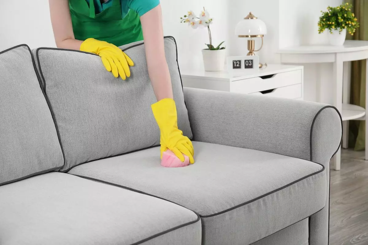 在家清潔沙發的資金：民間補救措施。如何從污垢從織物中清洗沙發？如何洗扶手和室內裝潢？ 9248_3